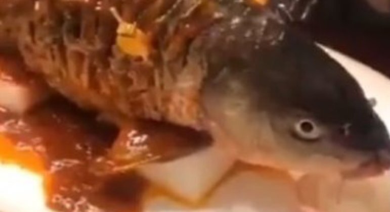 Um prato criado por um chef chinês tem aterrorizado as redes sociais
