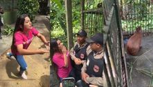 Deputada invade Ibama, em Manaus, para soltar capivara Filó 