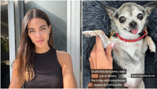 Joana Sanz, mulher de Daniel Alves, lamenta morte de cachorra: 'Brutalmente agredida'