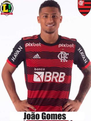 JOÃO GOMES - 7,0 - Partida excelente do volante do Flamengo. Muito ativo nos desarmes, fez a diferença no segundo gol de Marinho. Impressionante como evoluiu desde o início da temporada. 