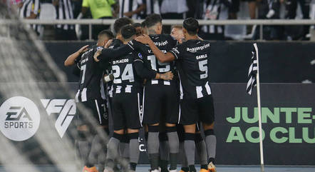Botafogo ficou 15 jogos sem perder