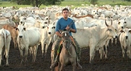 "Expedição Pantanal" é a nova série do "Jornal da Record"