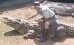 Um funcionário do Crocodile Creek, uma espécie de zoológico, foi atacado por um crocodilo enquanto fazia um show com os animais para os turistas