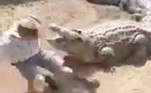O homem, de 68 anos, foi mordido enquanto se sentava nas costas do crocodilo, deixando os visitantes do parque em choqueVEJA AQUI O CONTEÚDO COMPLETO!
