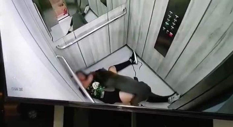 Jovem atacada por pit bull se arrastaou até elevador para conseguir ajuda