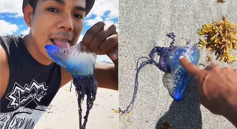 O jovem acima interagiu da maneira mais absurda possível com uma criatura marinha tóxica