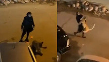 Segura a fera! Jovem é flagrada com leão no colo no meio da rua