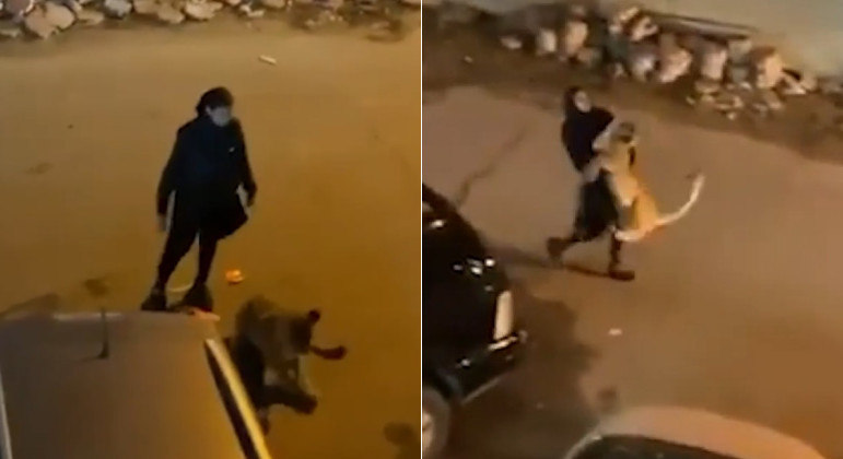 Jovem foi flagrada com leão no colo no meio de uma rua no Kuwait