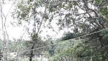 Jovem de 14 anos morre por raiva humana em Angra dos Reis (RJ)