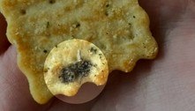 Jovem encontra tempero inusitado em biscoito, mas era mosca morta