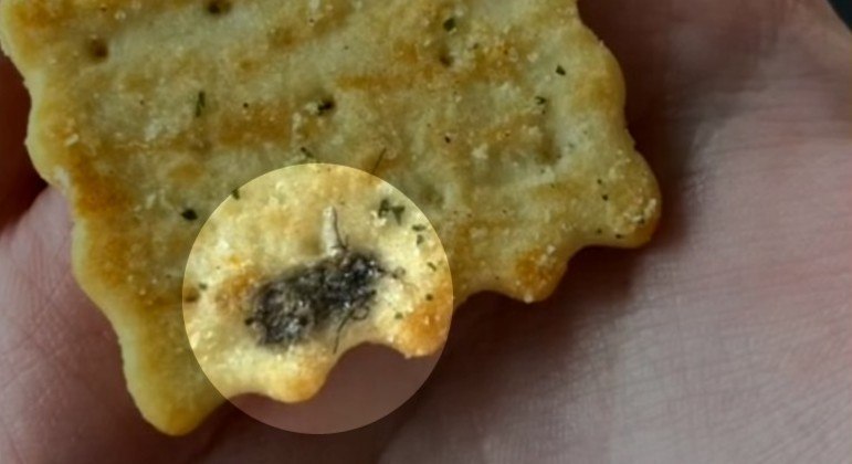 Australiana quase comeu uma mosca esmagada sobre um biscoito industrializado