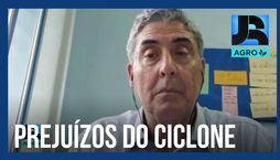 Secretário analisa prejuízos na agricultura após passagem de ciclone no Rio Grande do Sul
 (Reprodução / Record TV )