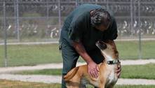 Juiz autoriza presidiário a receber visita de seu cachorro, que será sacrificado 