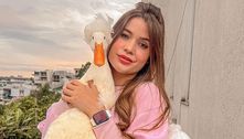 Ainda sem notícias de pato desaparecido, influenciadora recebe ameaças e ofensas 