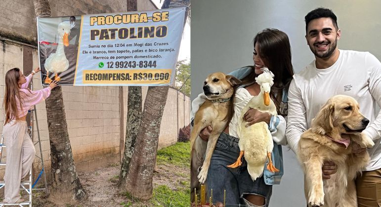 Julia Olympio exibe faixa com recompensa para quem achar Patolino; a influenciadora namora Douglas Mauro e é tutora também de dois cachorros