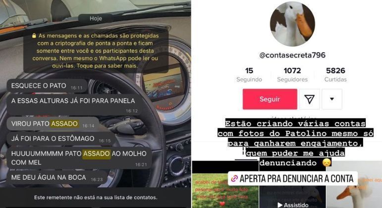 Julia Olympio recebe ofensas e perfis fake de Patolino