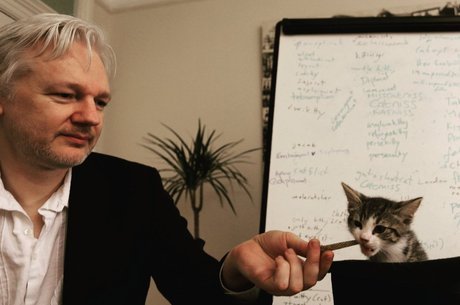 Gato Michi foi presente dos filhos de Assange, em 2016