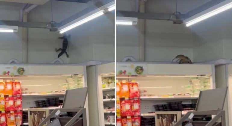 Lagarto-monitor invadiu mercado na Tailândia