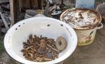 Cartuchos de projéteis da Segunda GuerraMundial coletados em uma tigela na casa de Nadiia Huk em Kamianka, nosarredores de Izyum, Ucrânia. Os residentes de Kamianka veem as duas guerrascomo parte da mesma violência mortal