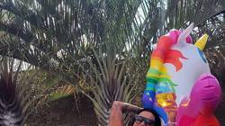 Longe das polêmicas, Kamila Simioni leva vida de ostentação na internet