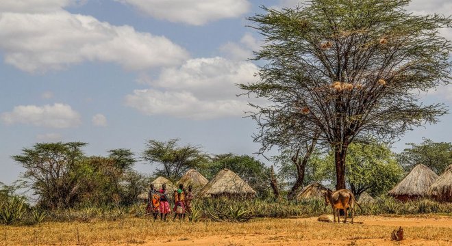 O trabalho de Nakalembe ajudou pessoas na semi-árida Karamajong