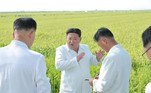 Kim Jong-un Coreia do Norte