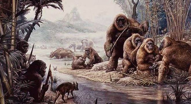 King Kong - história e filmes do maior macaco da história do cinema