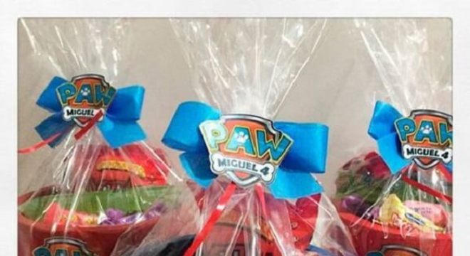 Kit festa patrulha canina