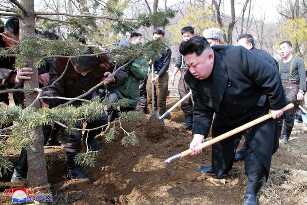 Os principais jornais da Coreia do Norte dedicam editoriais na terça-feira ao dia do plantio de árvores