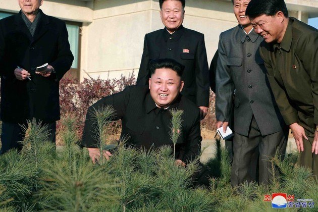 Em 1952, o então presidente Kim Il Sung pediu a criação de muitas florestas por meio de um movimento de massa, levando a sério o fato de que muitas 