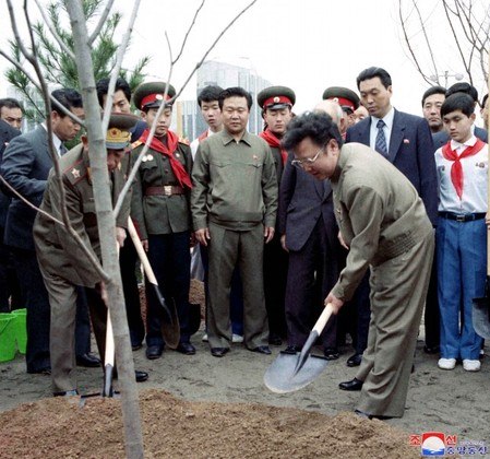 De acordo com o governo, as florestas verdes nas montanhas da Coreia do Norte estão associadas aos 