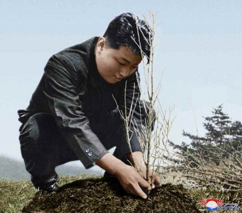 Hoje, comemora-se na Coreia do Norte o Dia do Plantio de Árvores, o que obriga os moradores a exaltar o 