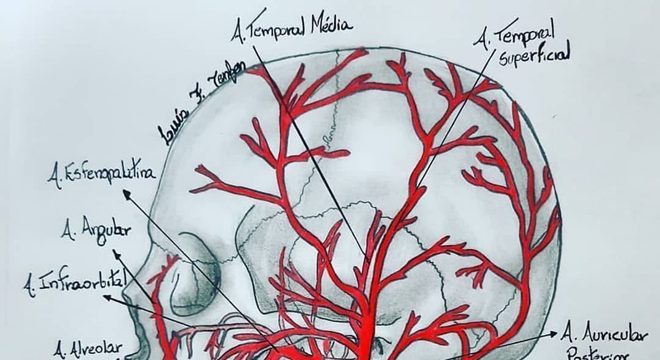 Lábios – características, função, anatomia e histologia