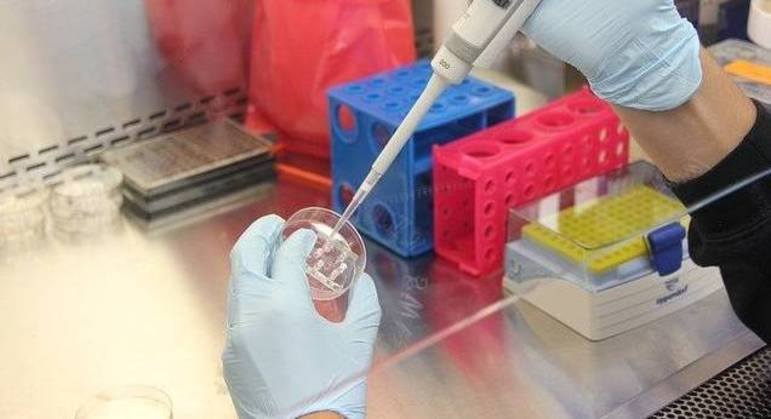 Descoberta de RNA longo pode ser causa para pacientes se tornarem resistentes a tratamento
