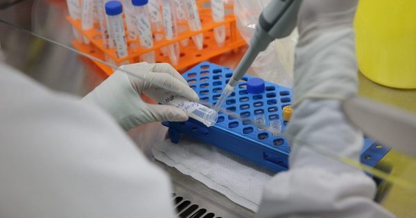 Em Minas, 599 cidades fizeram menos de 10 testes PCR para covid