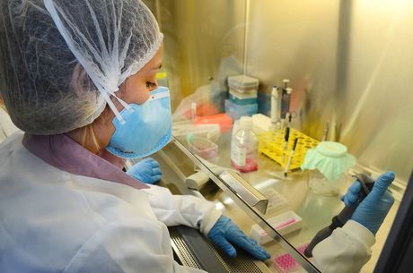 Butantan pesquisa vacina da dengue há 11 anos