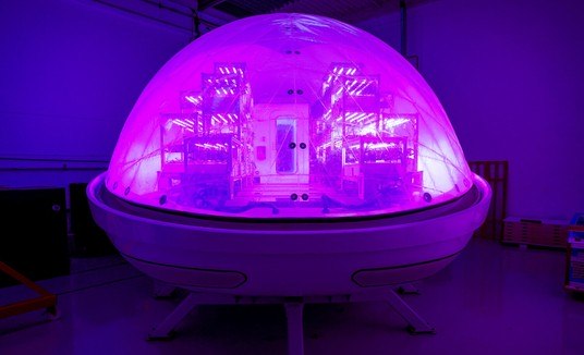 Laboratório revela tecnologia para cultivar plantas em Marte e em qualquer clima da Terra (Gonzalo Fuentes/REUTERS - 27.11.2023)