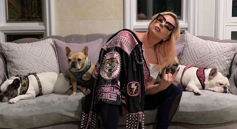 Lady Gaga posa para foto junto com sua cachorrada sã e salva