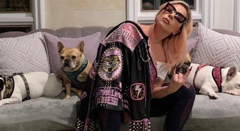 Lady Gaga e os cães da cantora