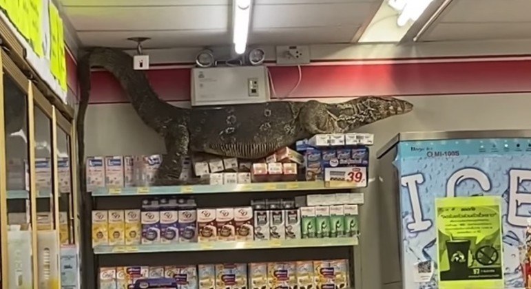 Lagarto-monitor causou o maior alvoroço em loja de Nakhon Pathom, na Tailândia