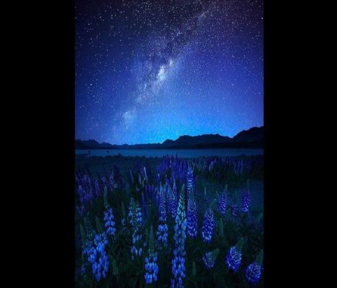 Lago Tekapo – Nova Zelândia - Seu nome tem origem na língua maori e significa “noite estrelada”. O local é prestigiado pela paisagem noturna espetacular.