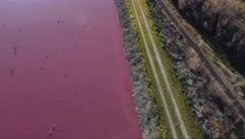 Resíduos industriais deixam lagoa na Patagônia com a água rosa 