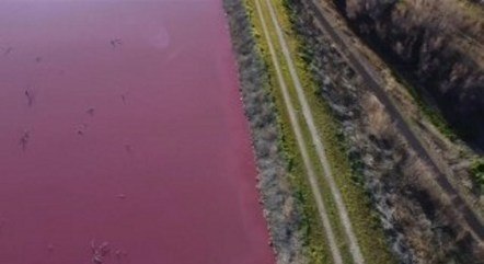 Resíduo industrial deixa lagoa na Patagônia com a água rosa