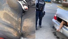 Motorista encontra lama no carro e homem nu no porta-malas