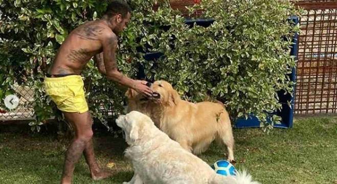 Neymar brinca com os cães enquanto cumpre quarentena em sua mansão, no RJ