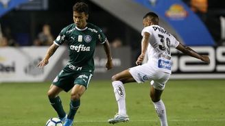 Por onde andam jogadores da última vitória do Santos sobre o Palmeiras? (César Greco / Ag. Palmeiras)