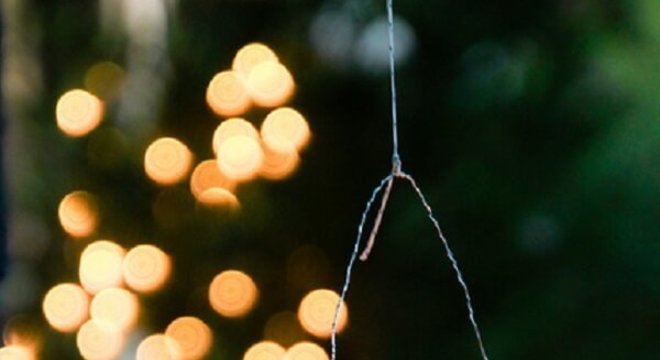 Lanternas iluminadas podem formar lindos enfeites para jardim