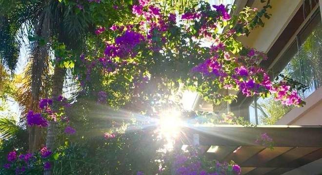 Lateral casa de Paolla Oliveira