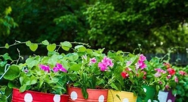 Latinhas coloridas podem ser utilizadas como enfeites para jardim