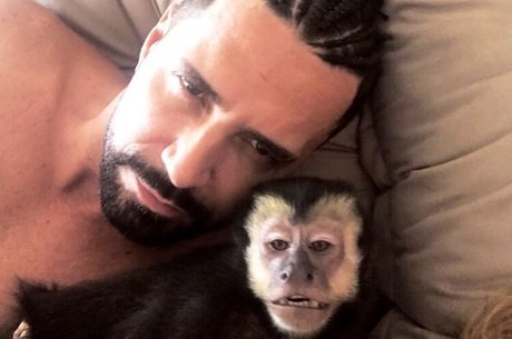Twelves era o macaquinho de estimação de Latino 